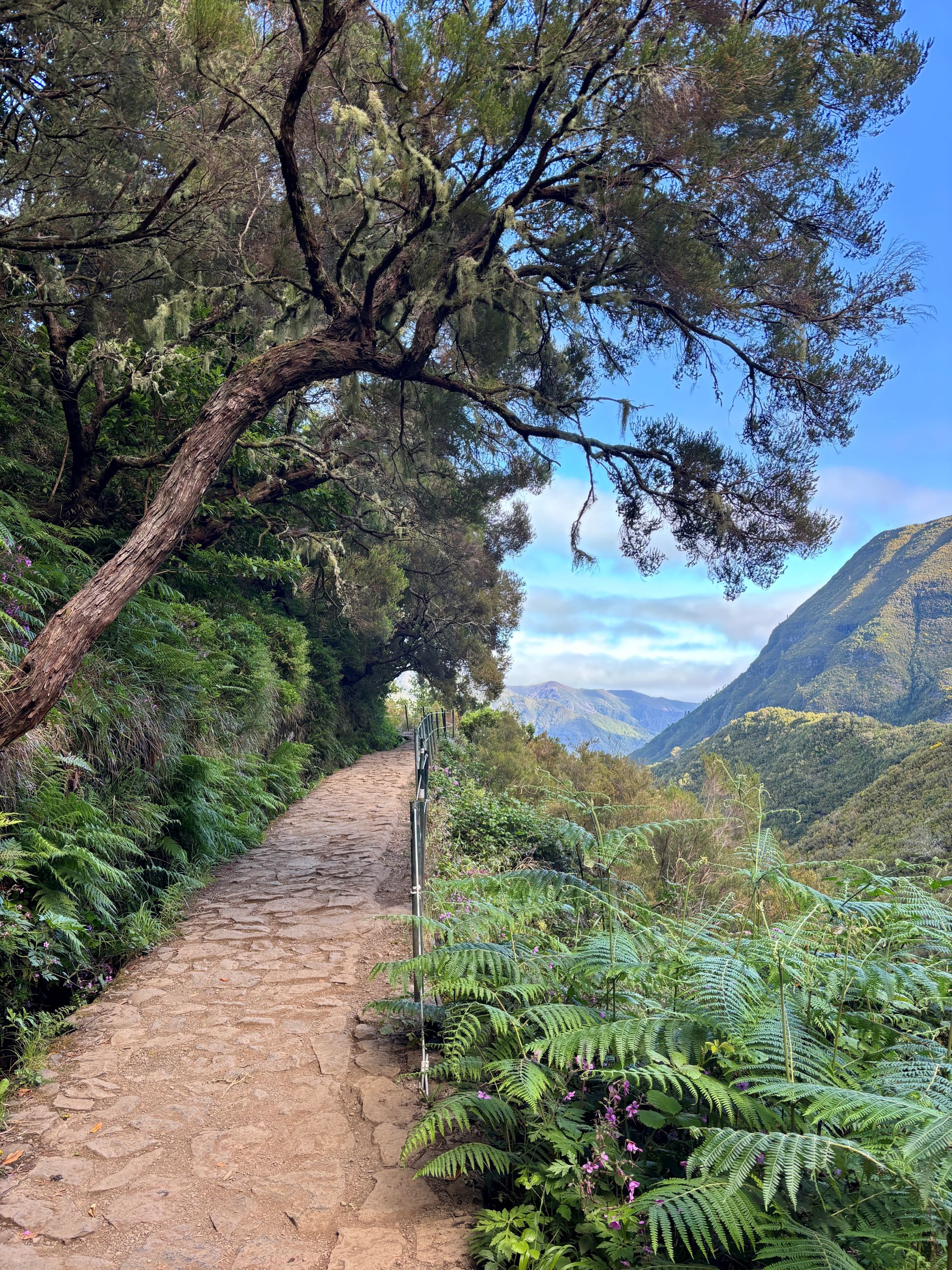 Madeira