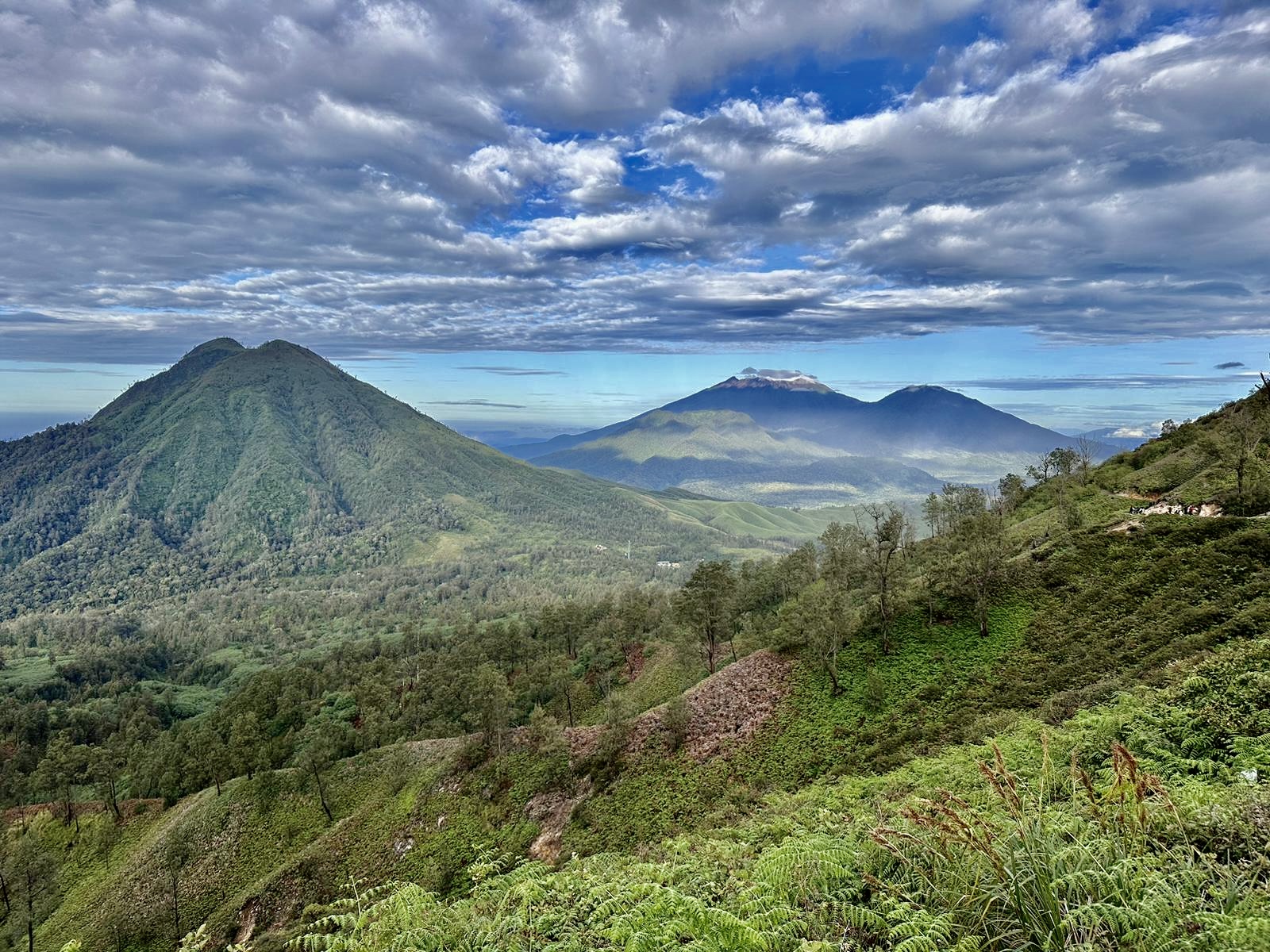 Indonesi&euml;