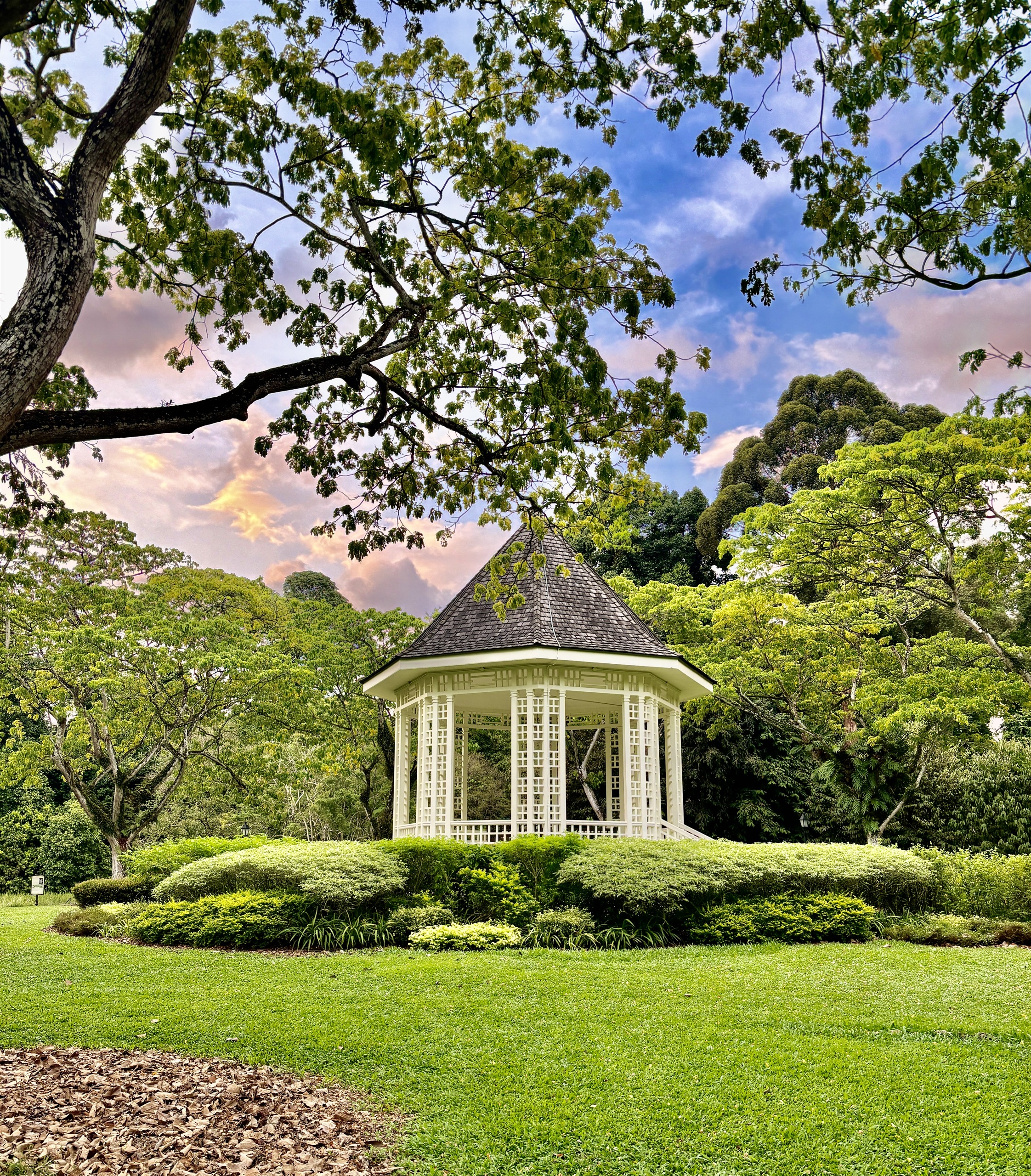 Singapore Botanic Gardens
