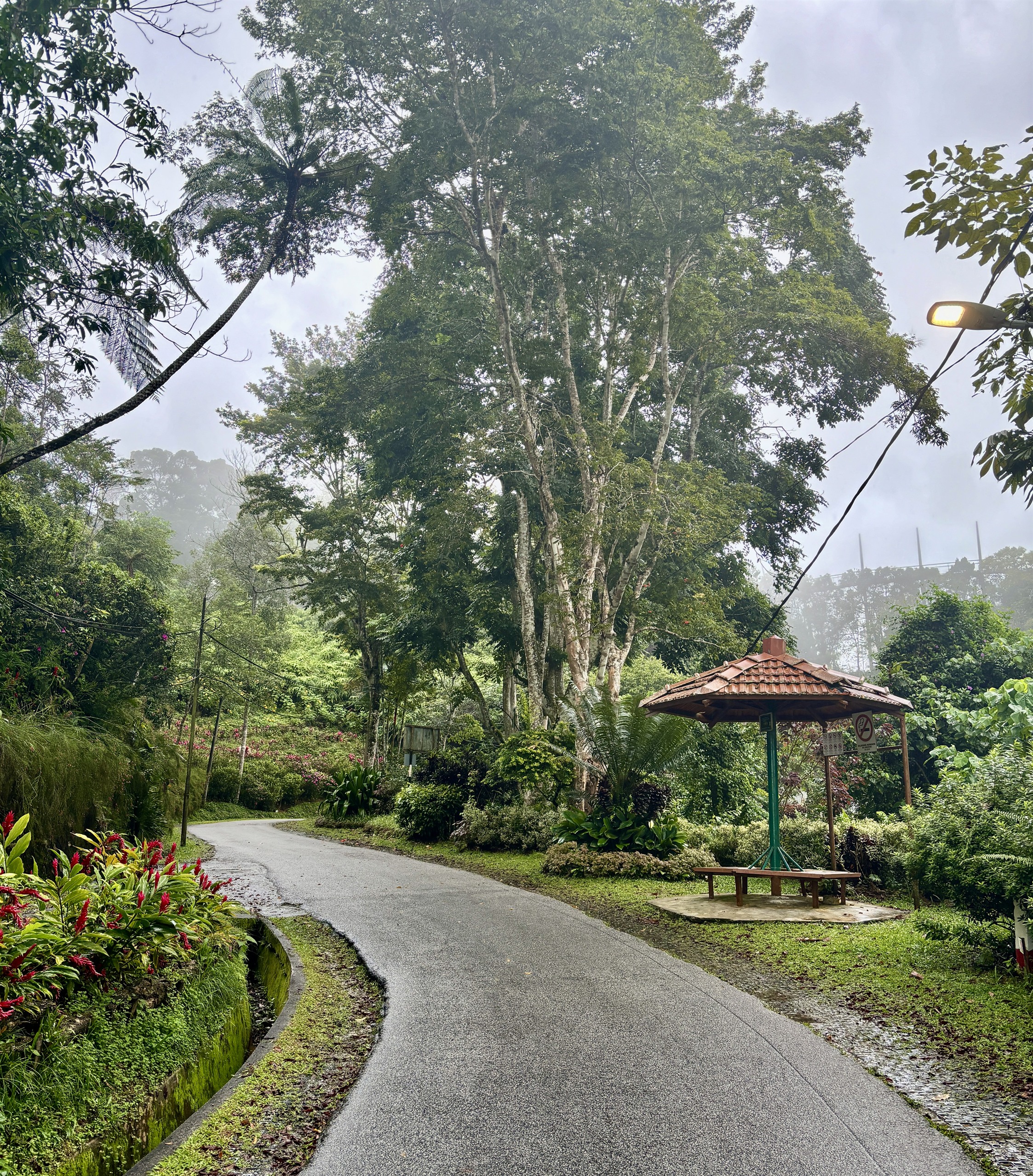 Tuinpad in de Penang Botanic Gardens