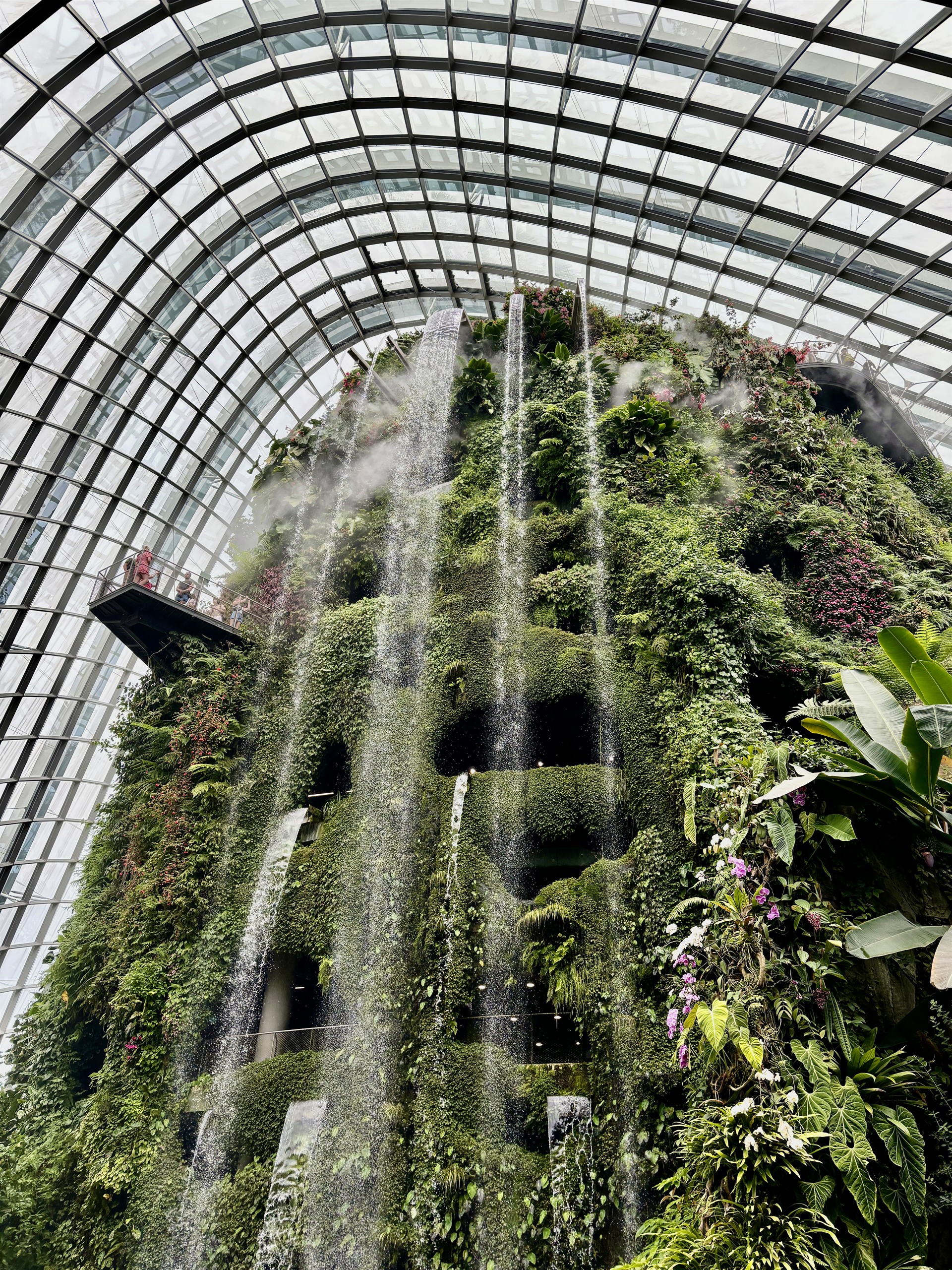 Cloud Forest in Singapore
