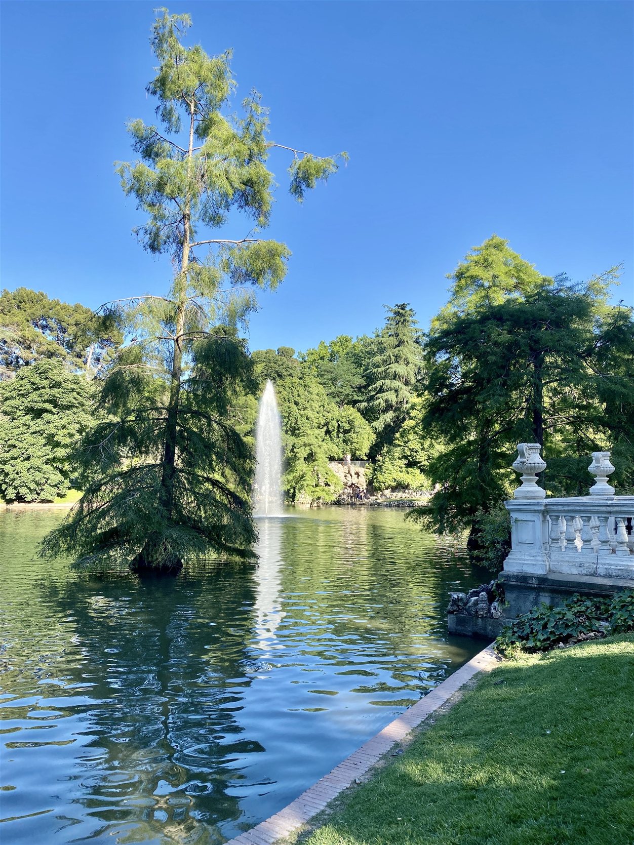 Het meer in El Retiro Park, Madrid