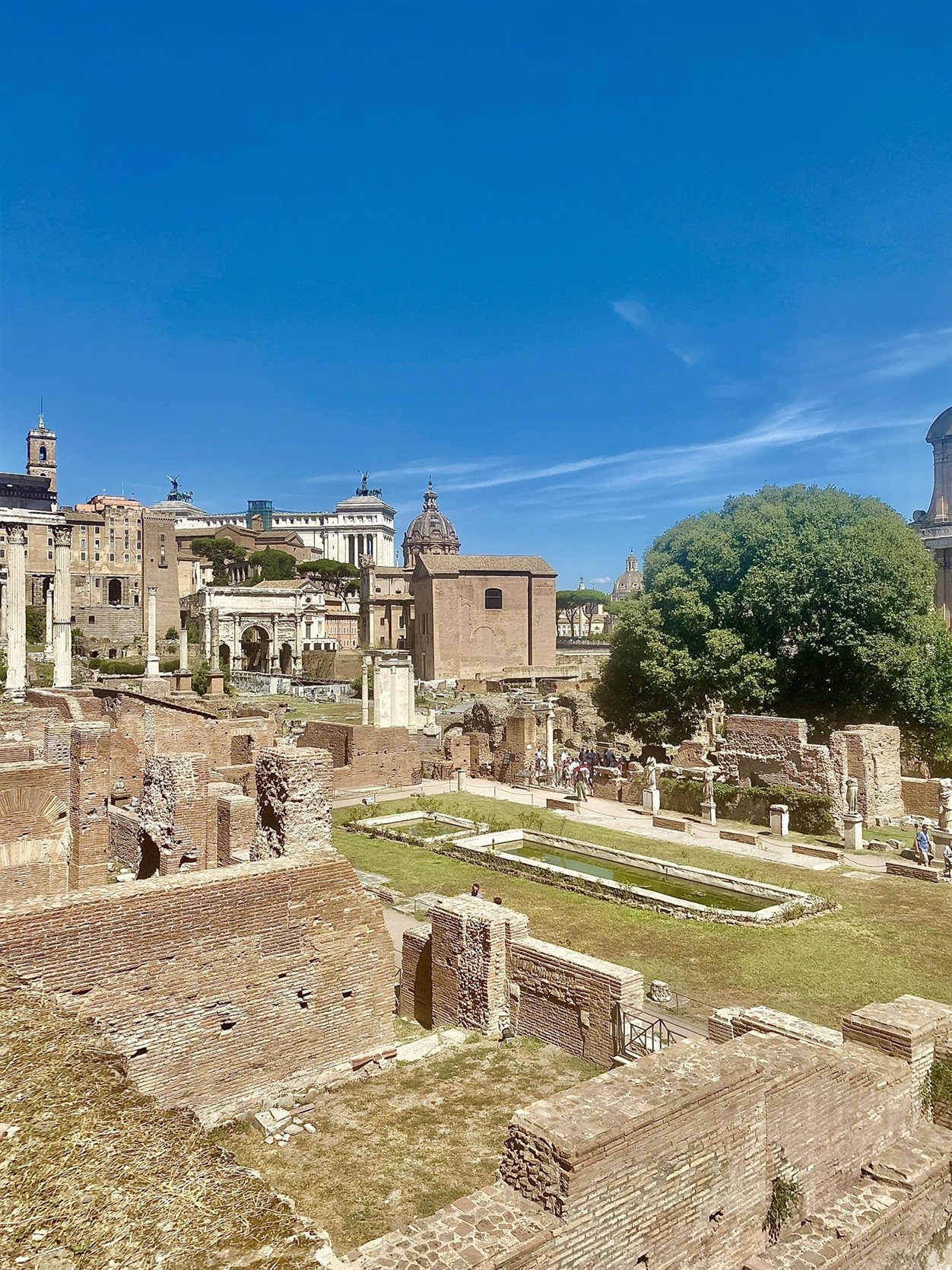 Uitzicht over het Forum Romanum vanaf de Palatijnse Heuvel