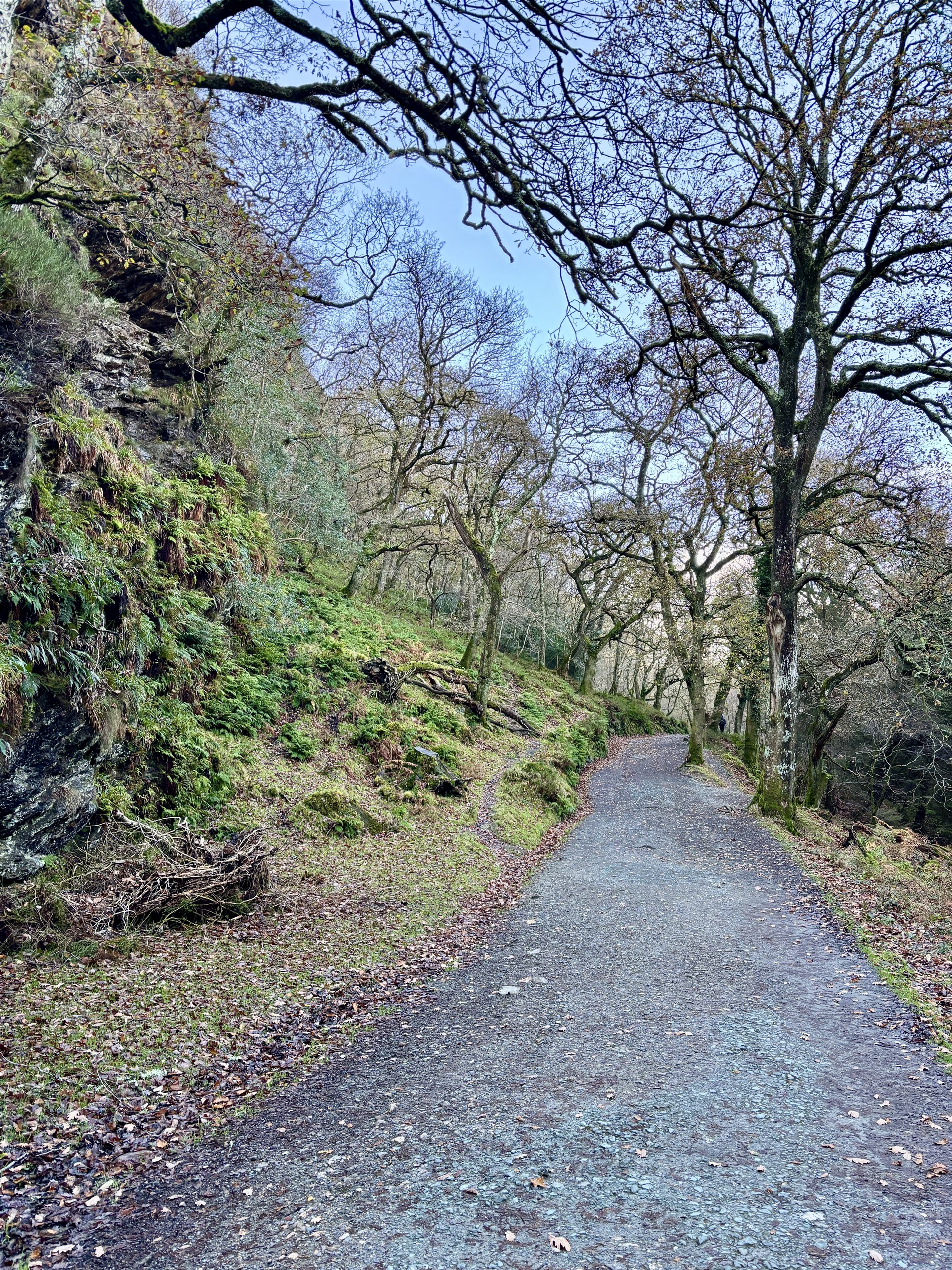 Bospad, Glendalough