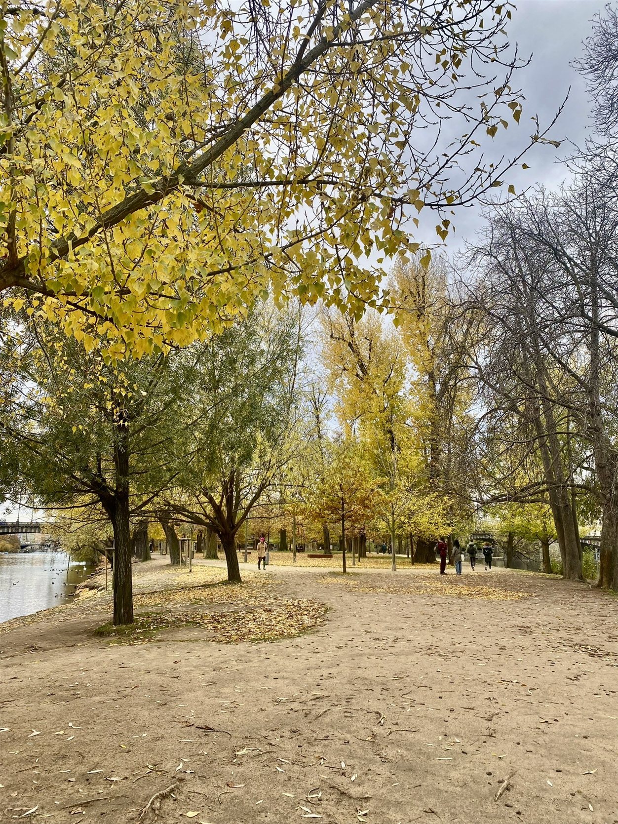 Herfstpark langs de Moldau in Praag