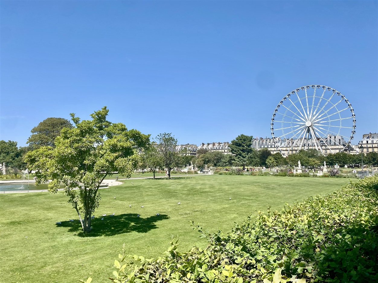 Reuzenrad in de Jardin des Tuileries