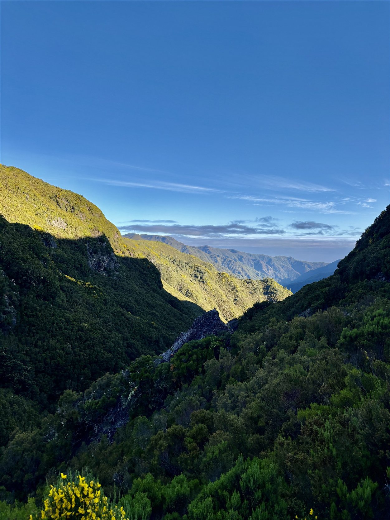 Berglandschap op Madeira bij zonsopkomst