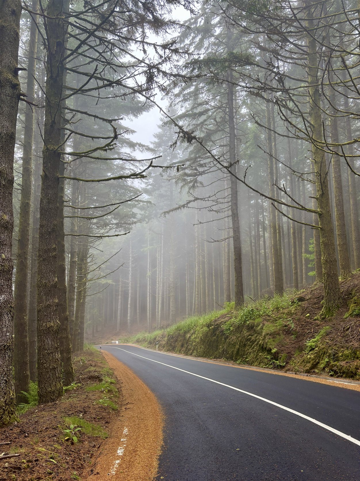 Onderweg naar het noordwesten van Madeira