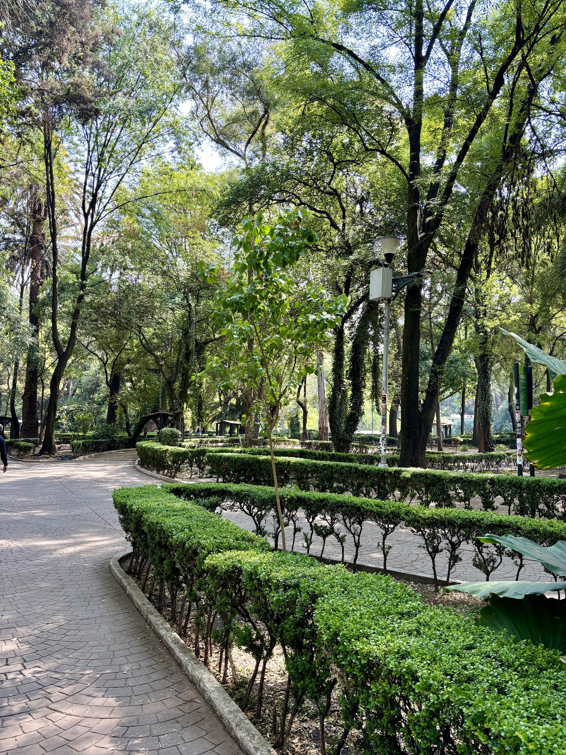 Park in Mexico-Stad
