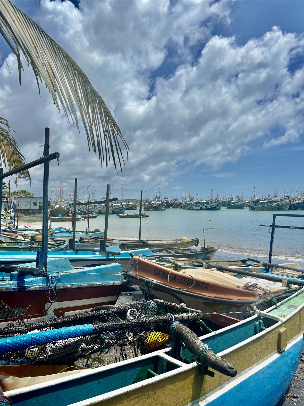 Nilwella Fishery Harbour