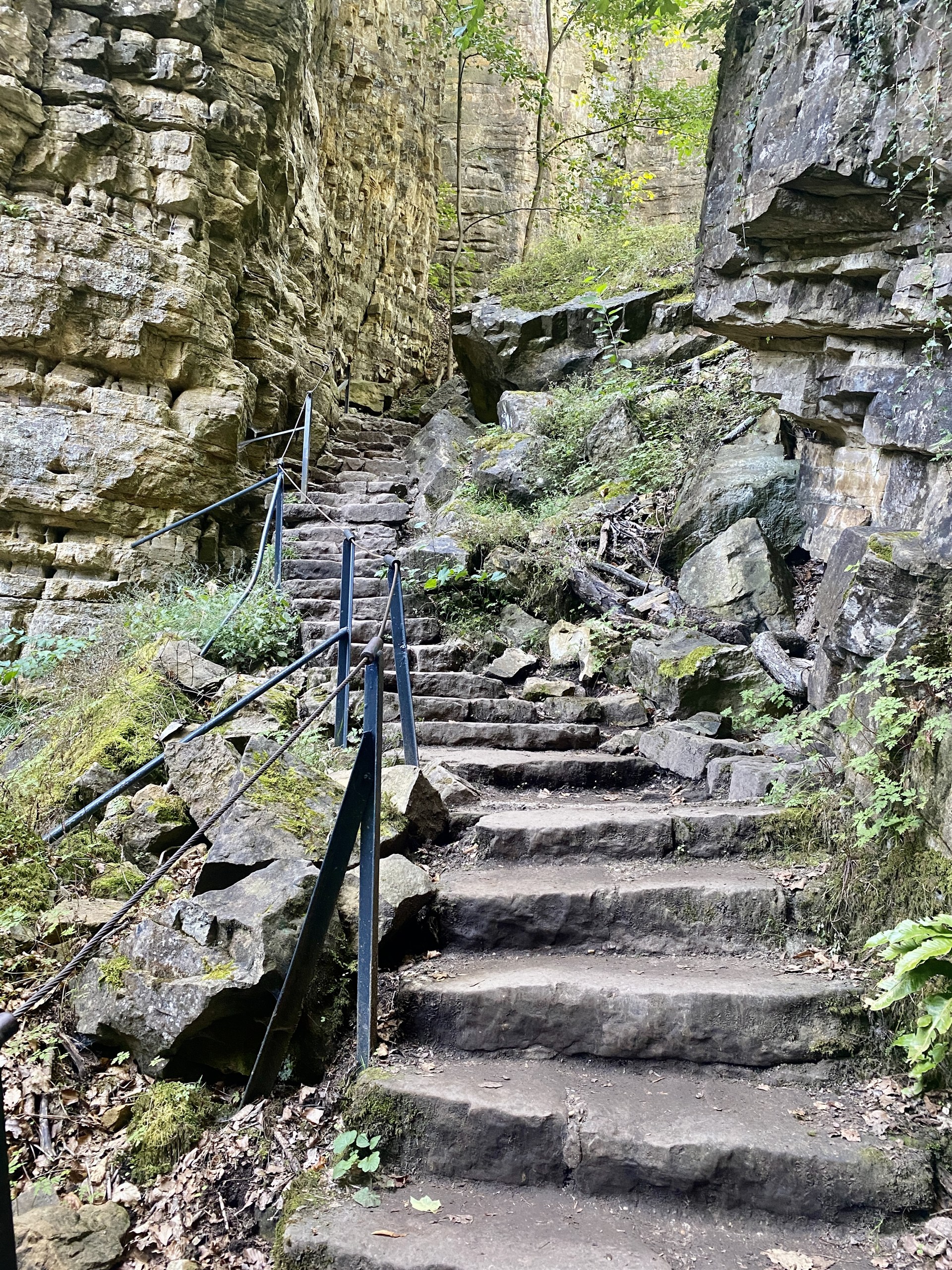 Trap tussen de rotsen, Mullerthal Trail