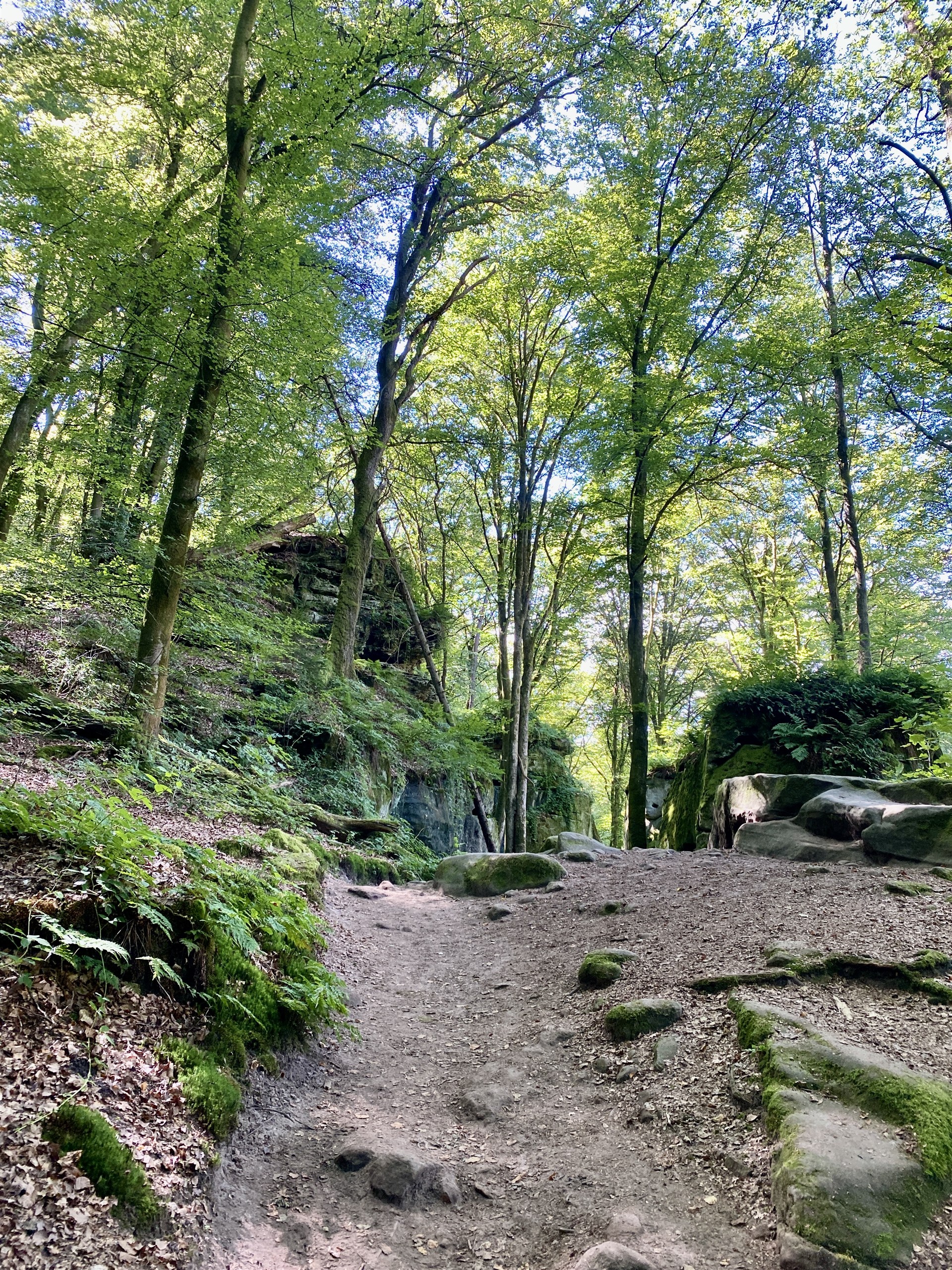 Bospad, Mullerthal Trail