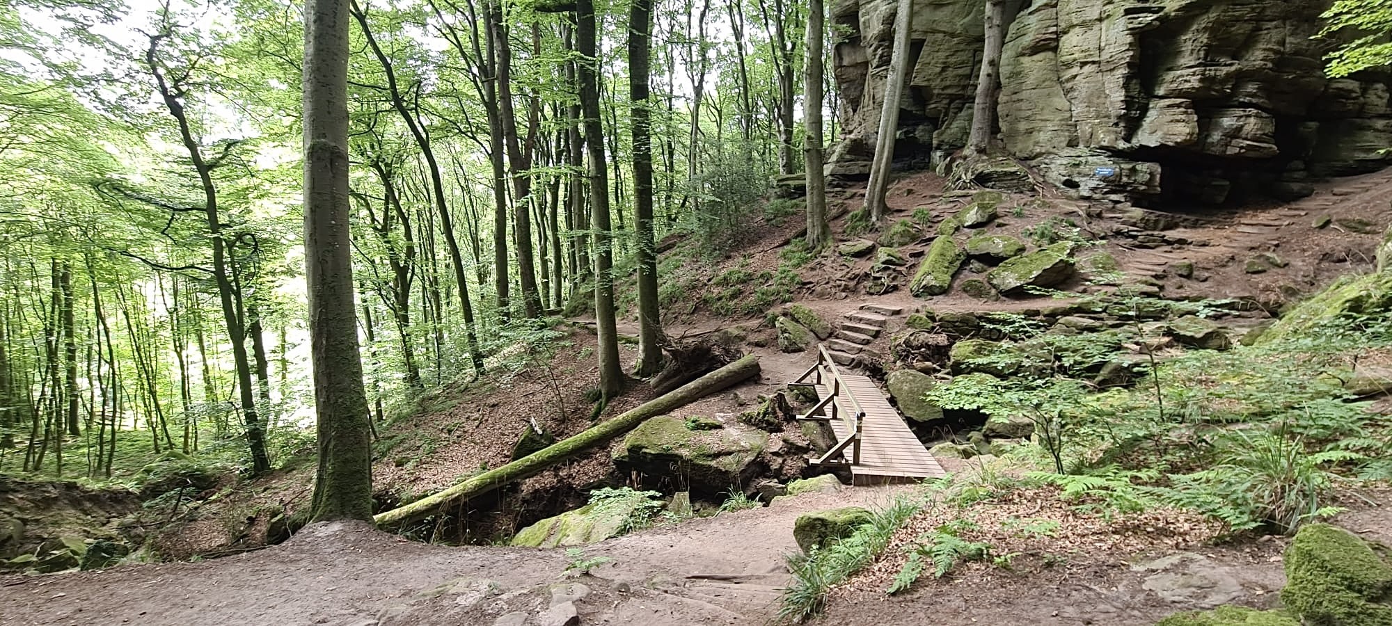 Bemoste rotsen, Mullerthal Trail