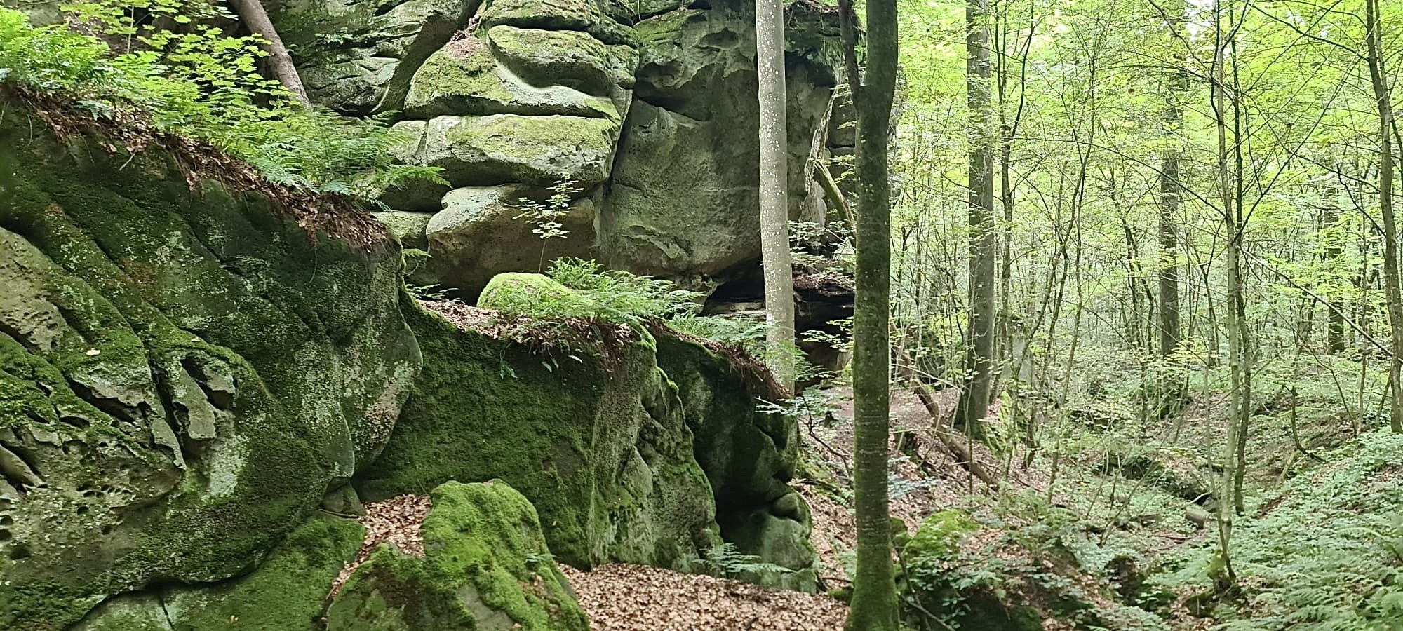 Rotsformatie, Mullerthal Trail