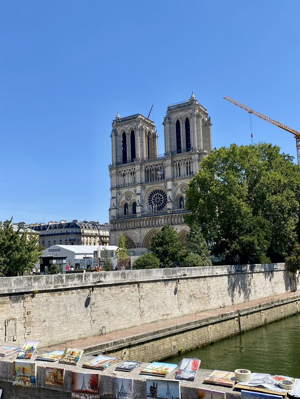 Notre-Dame met de bouquinistes langs de Seine