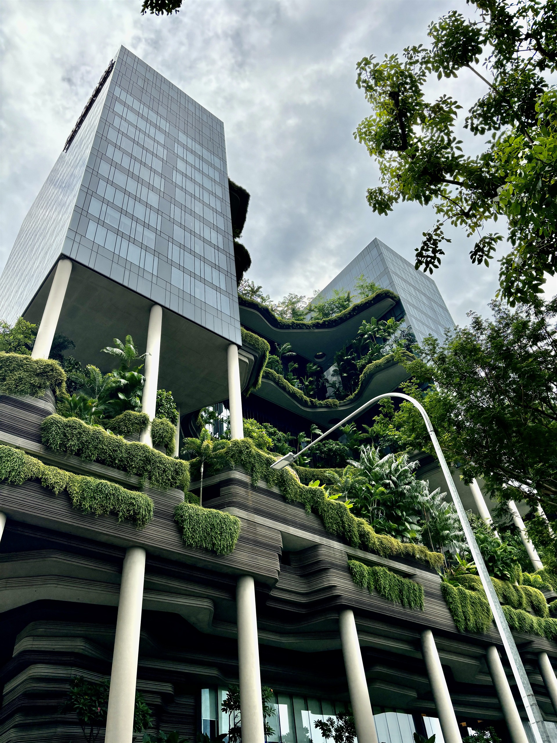 Oasia Hotel Downtown, Singapore