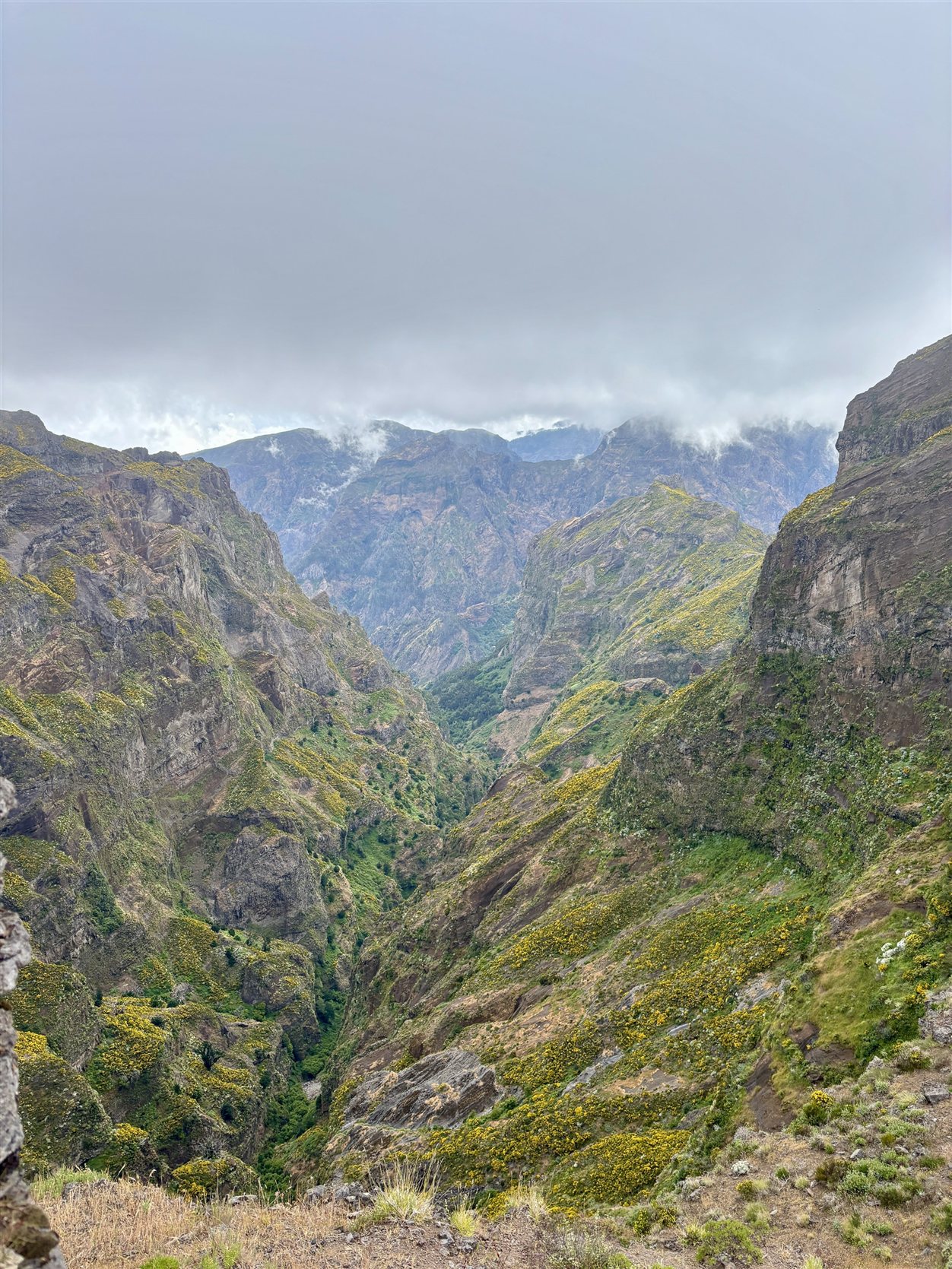 Bergkam langs de PR1