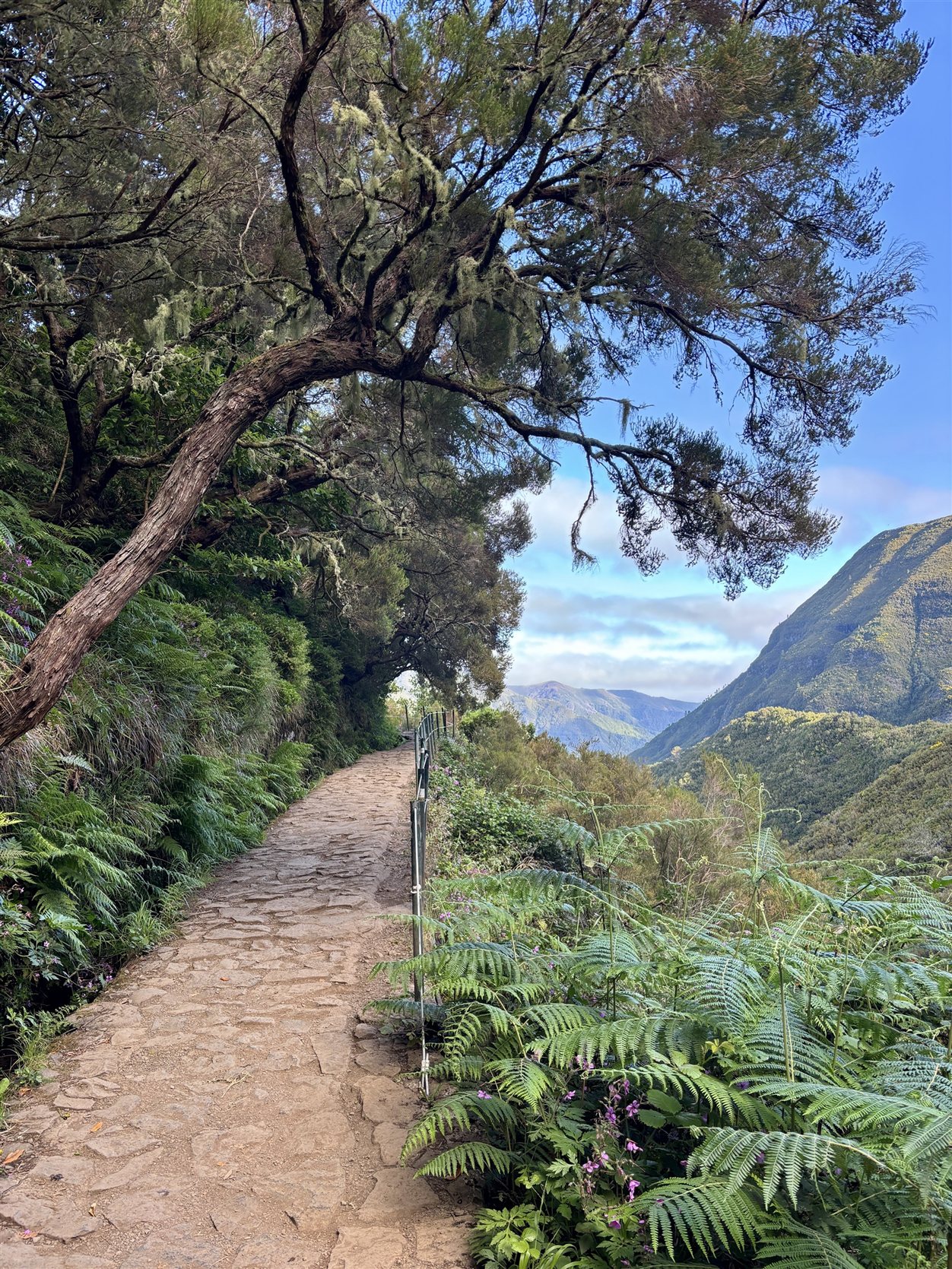 Levada-pad van de PR6