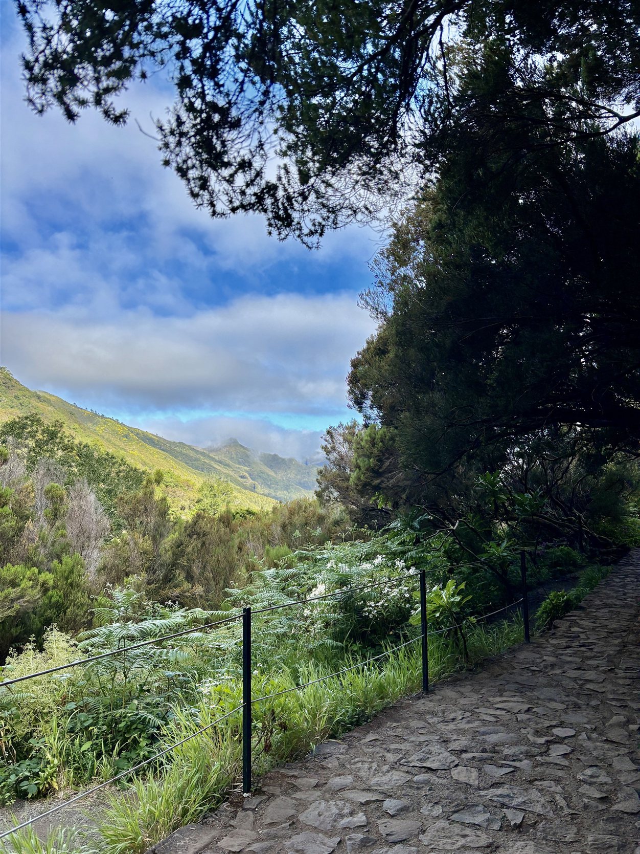 Levada-pad van de PR6