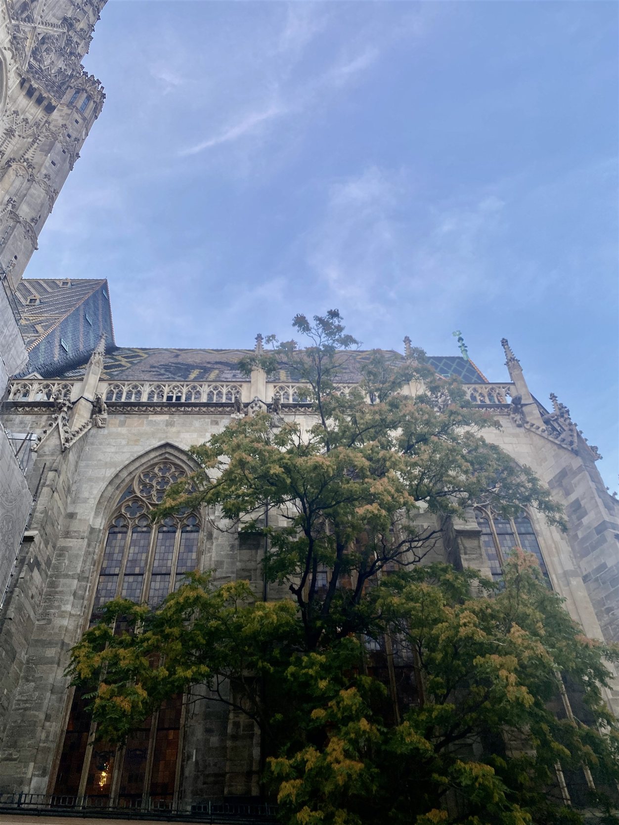 Stephansdom, detail van de gevel, Wenen