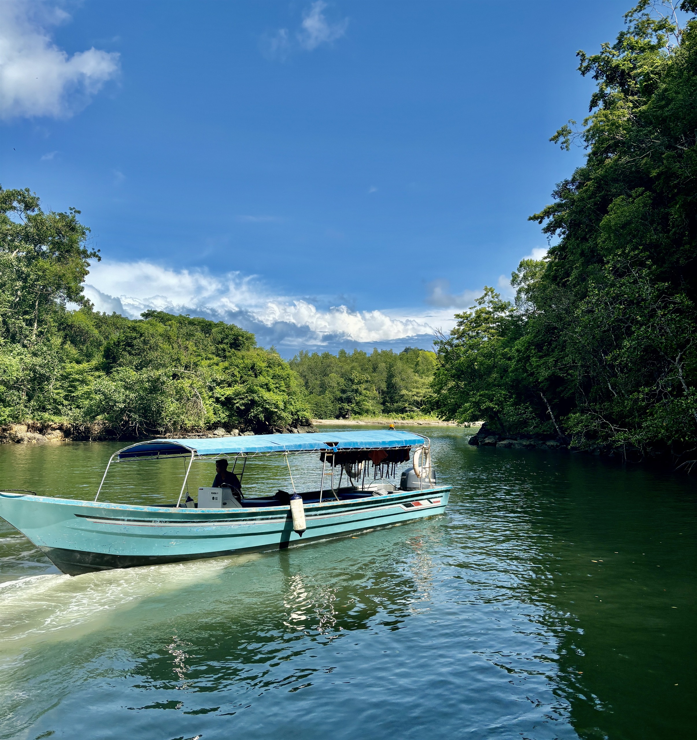 Boottocht over de mangroverivier van Langkawi