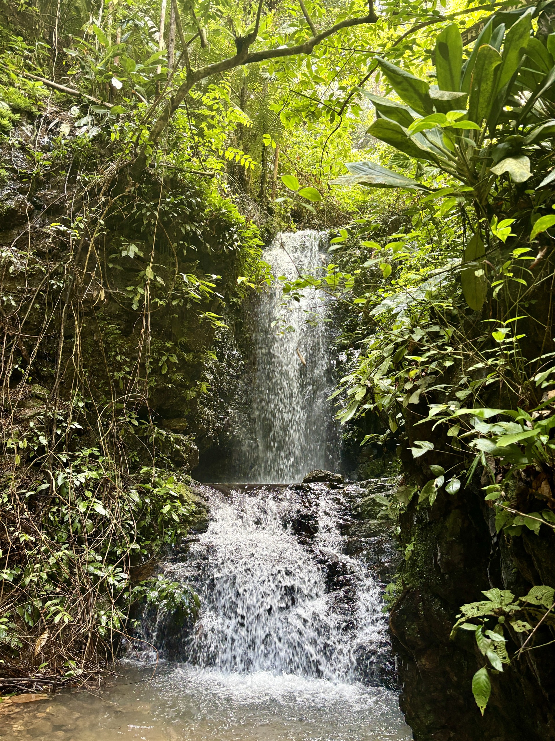 Teras Waterfall in Taman Negara National Park