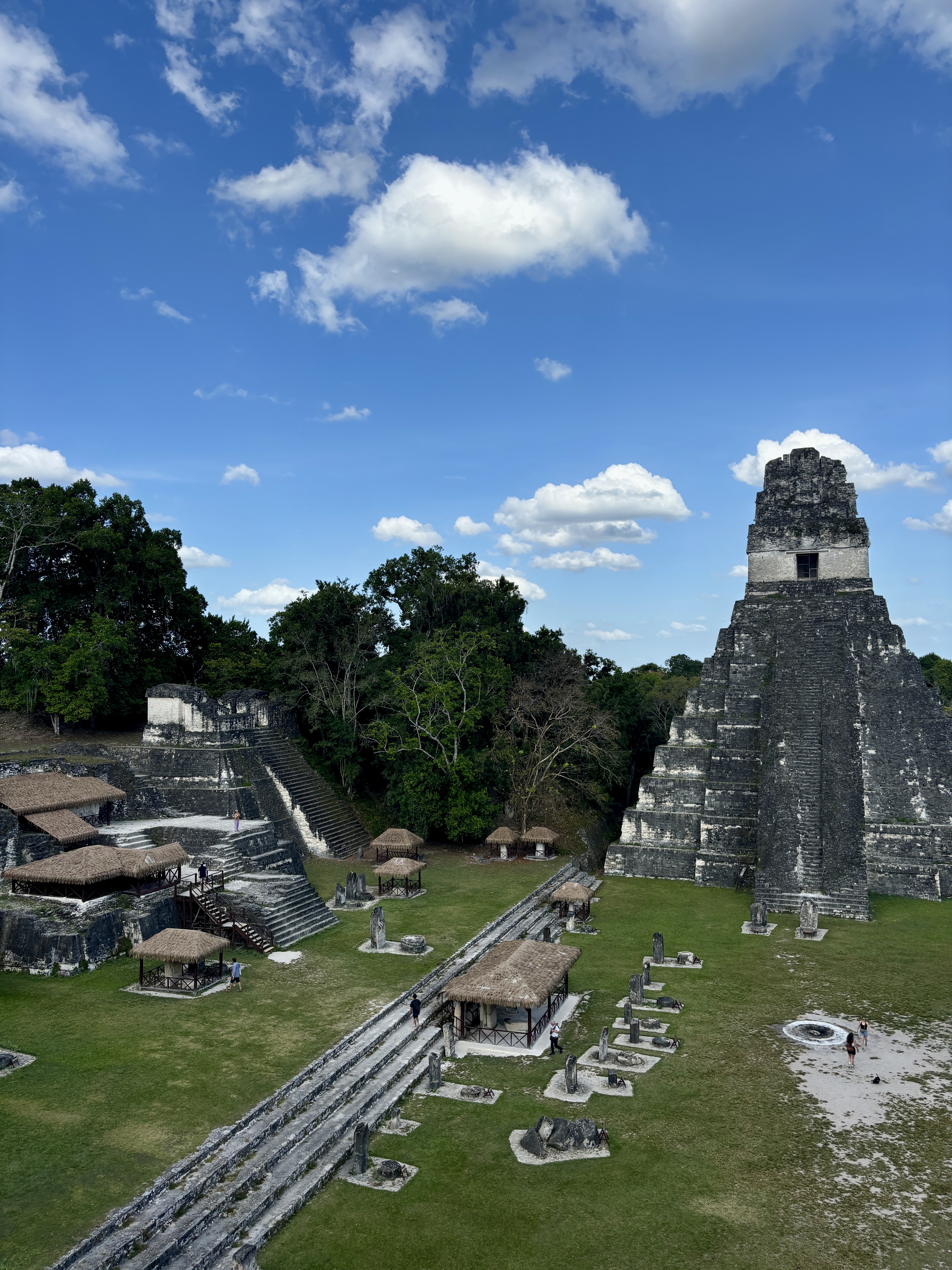 Tempel van Tikal boven het regenwoud