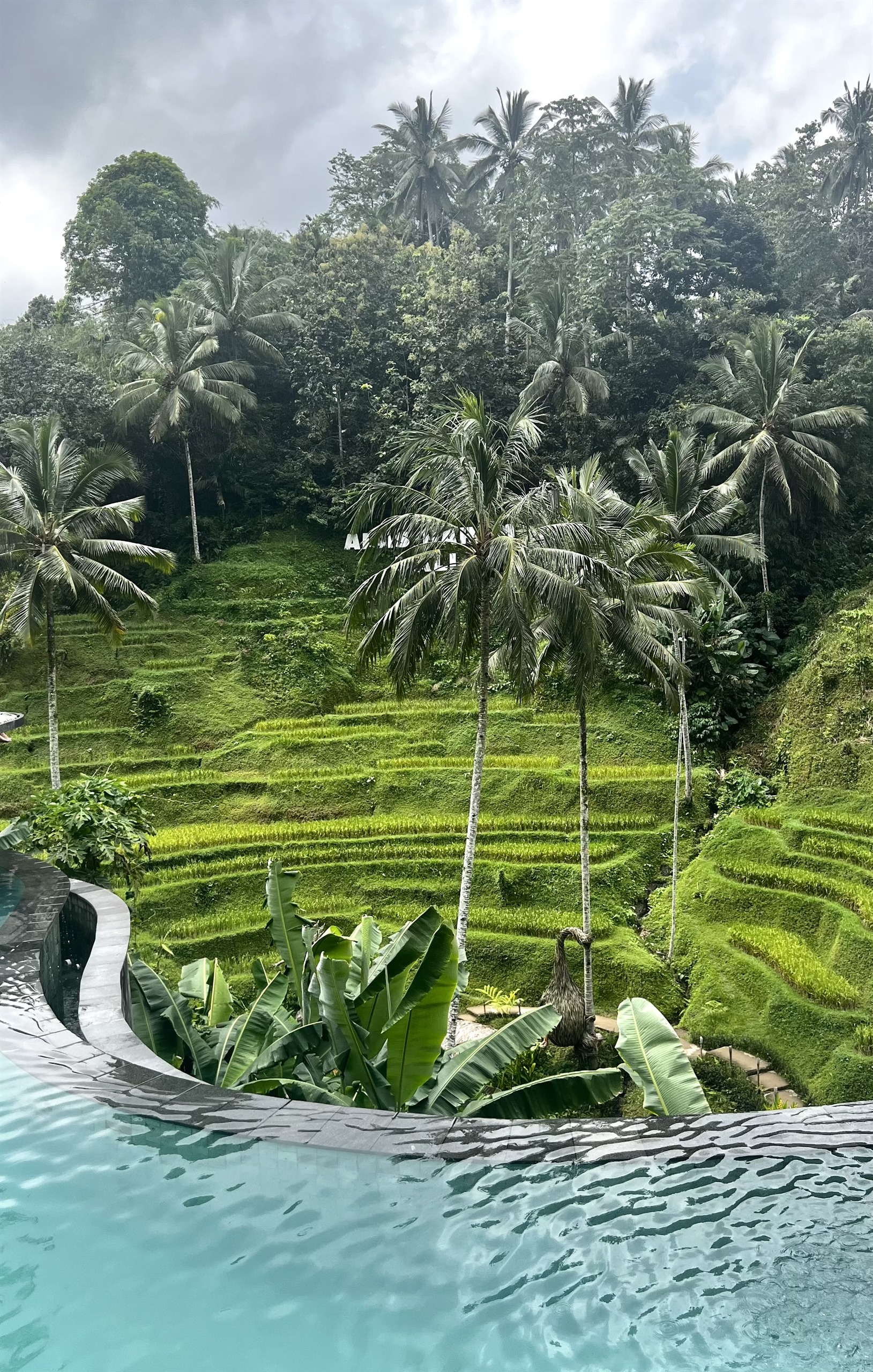 Rijstterras met infinity pool bij Ubud