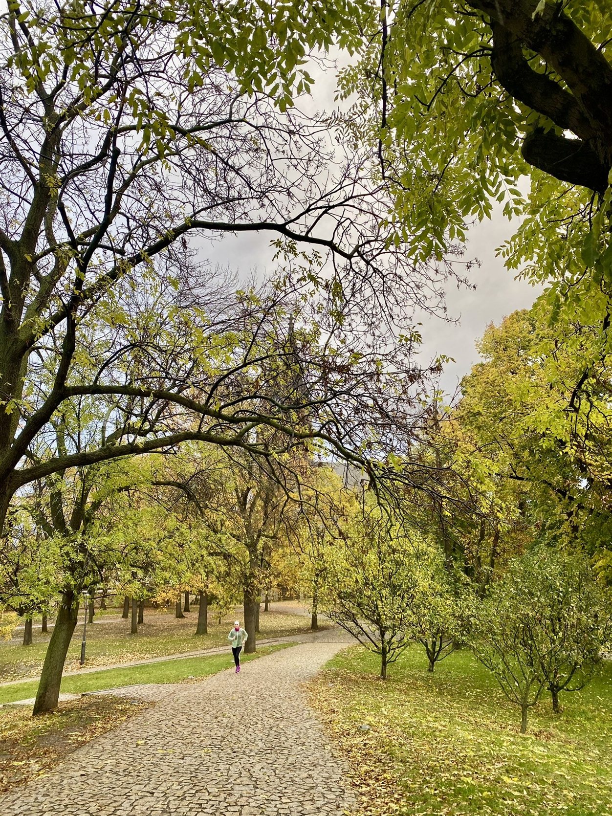 Wandelpad in het park van Vy&scaron;ehrad