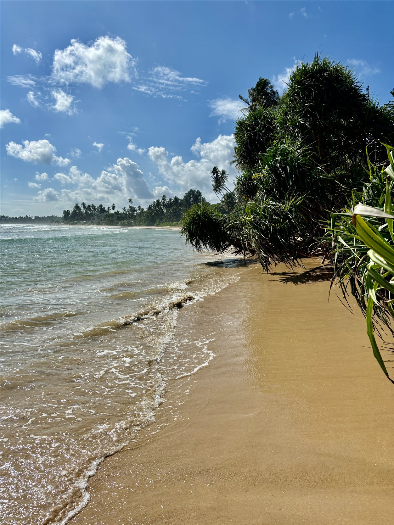 Dikwella Beach aan de zuidkust van Sri Lanka